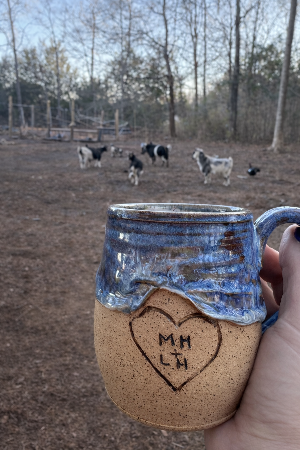 From Goats to Grounds: Why We Started Udderly Eclucktic Coffee