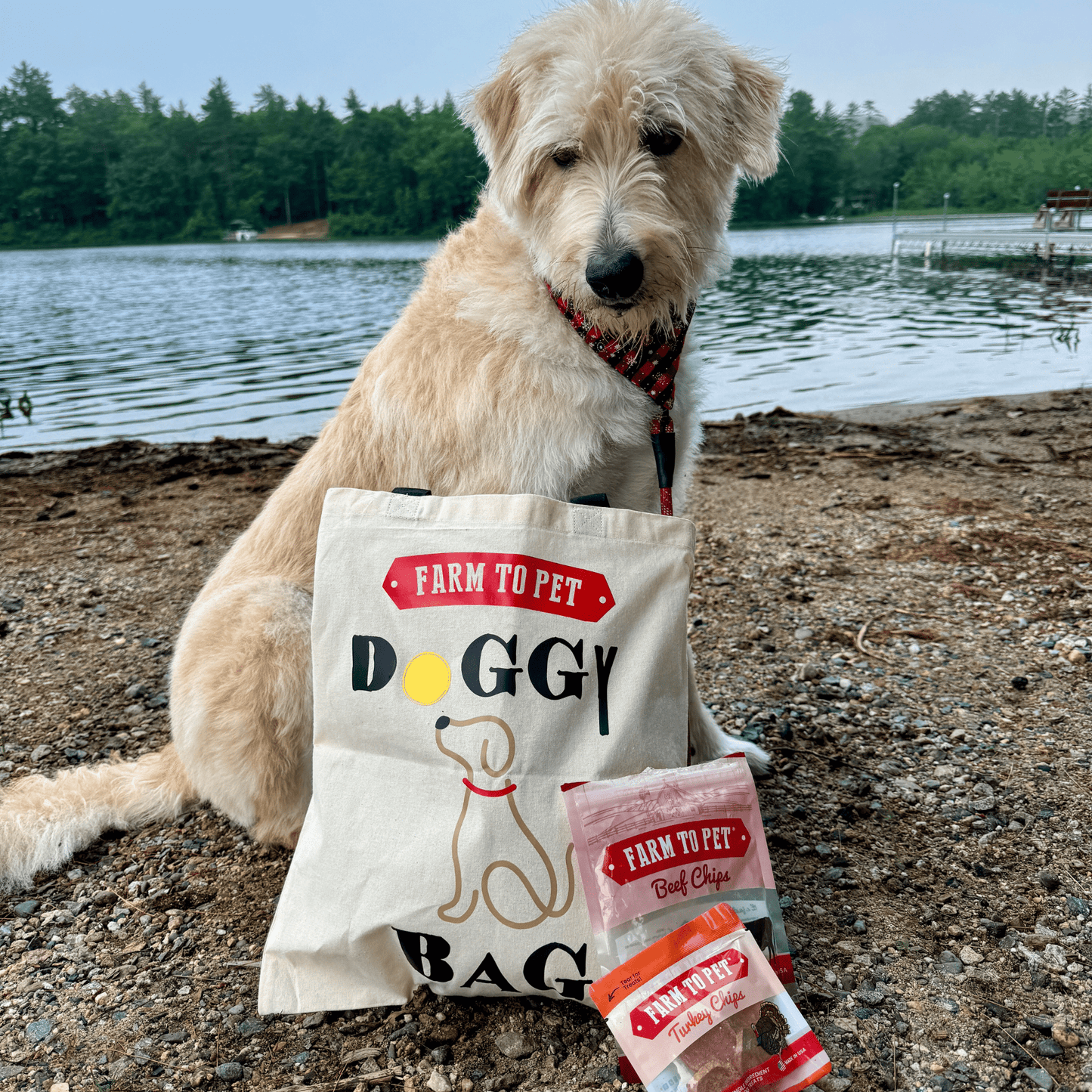 Farm To Pet Tote Bag | Paw-some Gift for Animal Lovers